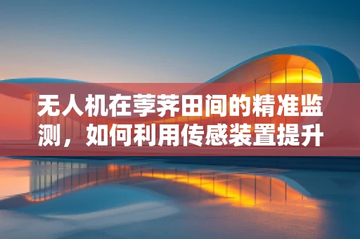 无人机在荸荠田间的精准监测，如何利用传感装置提升作物健康监测的准确性？