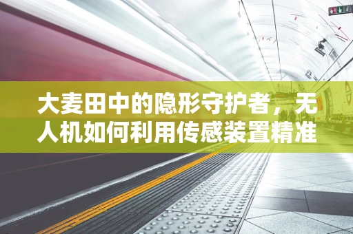 大麦田中的隐形守护者，无人机如何利用传感装置精准监测作物健康？
