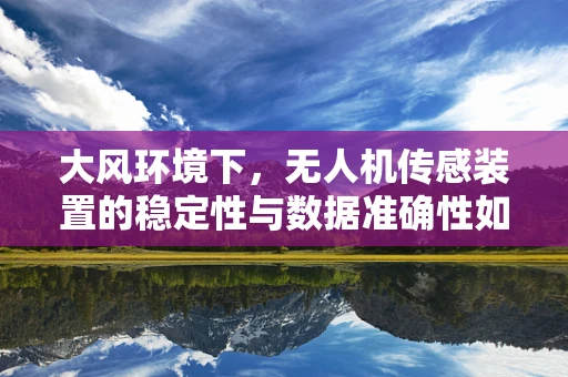 大风环境下，无人机传感装置的稳定性与数据准确性如何保障？