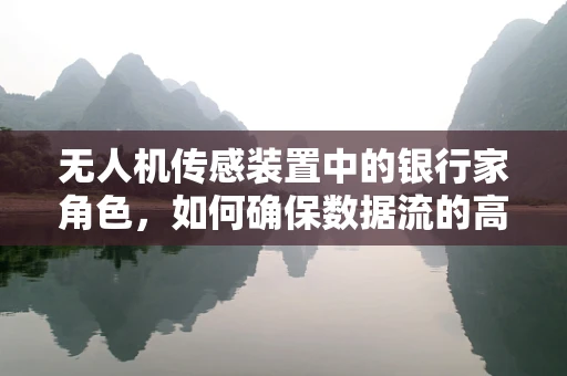 无人机传感装置中的银行家角色，如何确保数据流的高效与安全？