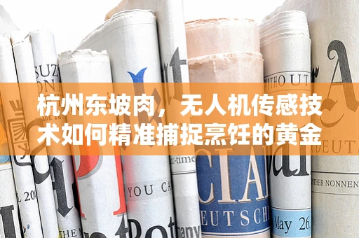 杭州东坡肉，无人机传感技术如何精准捕捉烹饪的黄金时刻？