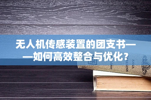 无人机传感装置的团支书——如何高效整合与优化？