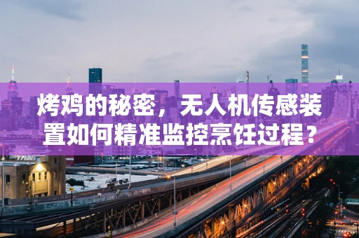 烤鸡的秘密，无人机传感装置如何精准监控烹饪过程？