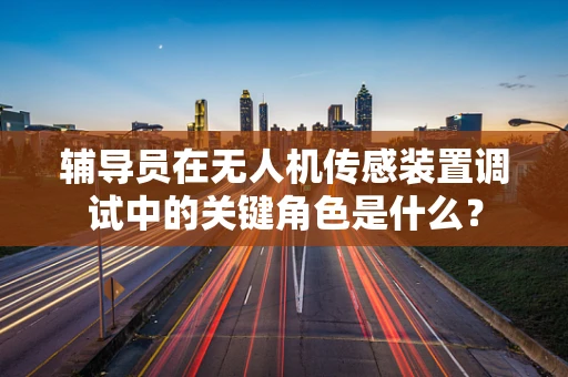 辅导员在无人机传感装置调试中的关键角色是什么？