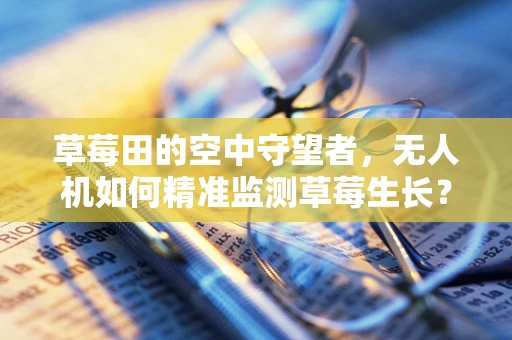 草莓田的空中守望者，无人机如何精准监测草莓生长？