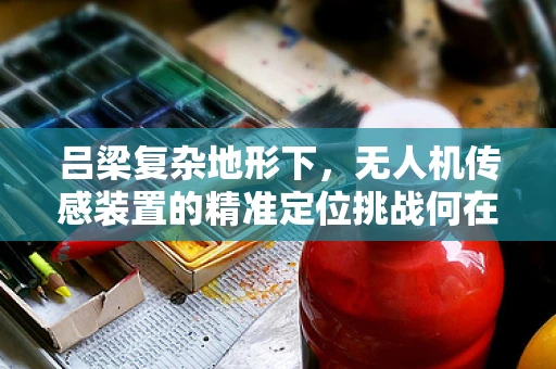 吕梁复杂地形下，无人机传感装置的精准定位挑战何在？