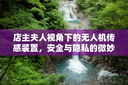 店主夫人视角下的无人机传感装置，安全与隐私的微妙平衡