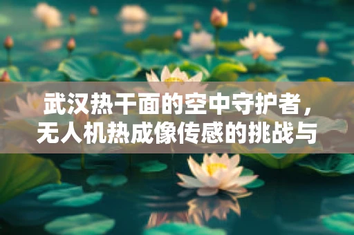 武汉热干面的空中守护者，无人机热成像传感的挑战与机遇
