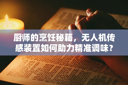 厨师的烹饪秘籍，无人机传感装置如何助力精准调味？
