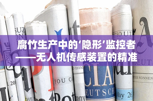 腐竹生产中的‘隐形’监控者——无人机传感装置的精准应用