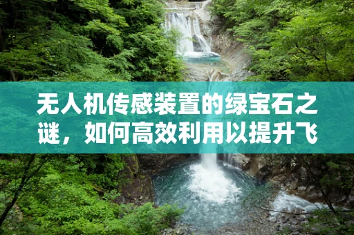 无人机传感装置的绿宝石之谜，如何高效利用以提升飞行安全？