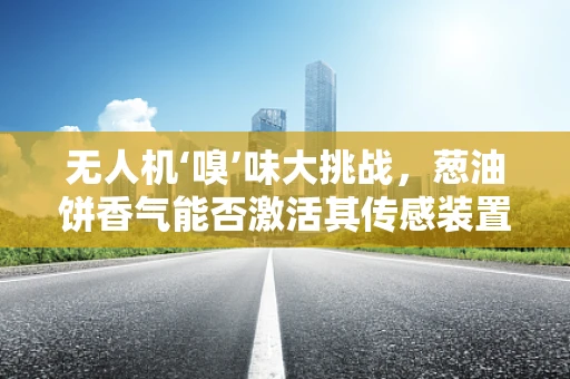 无人机‘嗅’味大挑战，葱油饼香气能否激活其传感装置的无限可能？