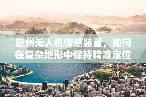 随州无人机传感装置，如何在复杂地形中保持精准定位？