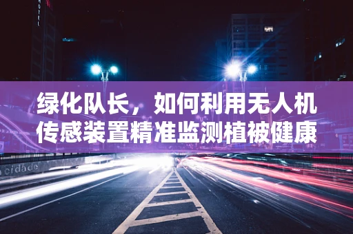 绿化队长，如何利用无人机传感装置精准监测植被健康？