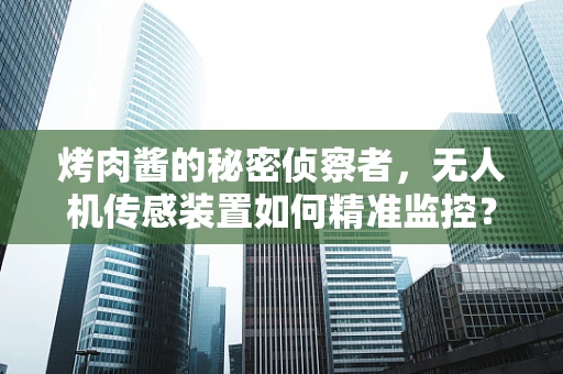 烤肉酱的秘密侦察者，无人机传感装置如何精准监控？