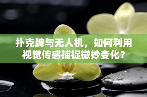 扑克牌与无人机，如何利用视觉传感捕捉微妙变化？