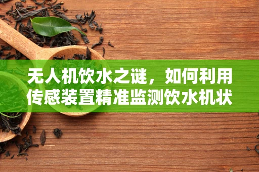 无人机饮水之谜，如何利用传感装置精准监测饮水机状态？