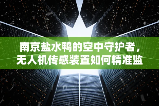 南京盐水鸭的空中守护者，无人机传感装置如何精准监测食品安全？