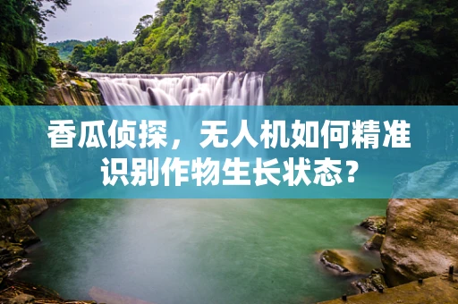 香瓜侦探，无人机如何精准识别作物生长状态？