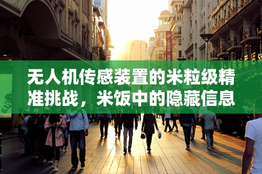 无人机传感装置的米粒级精准挑战，米饭中的隐藏信息如何被捕捉？