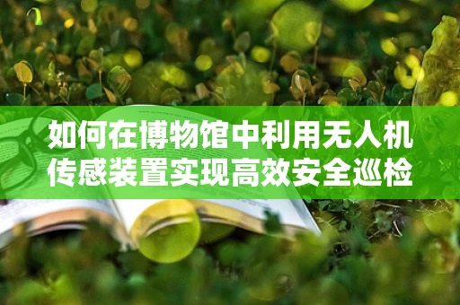 如何在博物馆中利用无人机传感装置实现高效安全巡检？