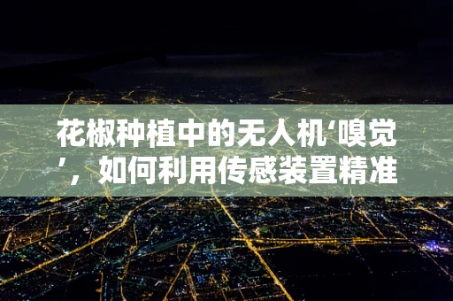 花椒种植中的无人机‘嗅觉’，如何利用传感装置精准监测？