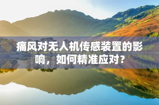 痛风对无人机传感装置的影响，如何精准应对？