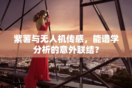 紫薯与无人机传感，能谱学分析的意外联结？
