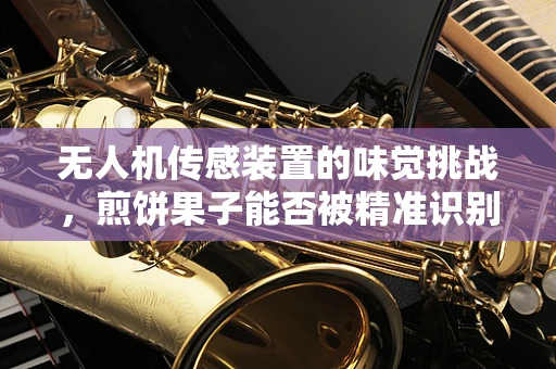无人机传感装置的味觉挑战，煎饼果子能否被精准识别？