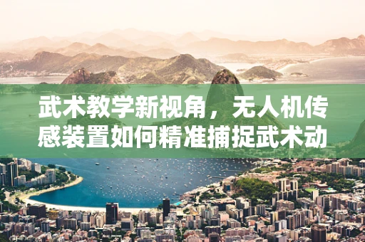 武术教学新视角，无人机传感装置如何精准捕捉武术动作？