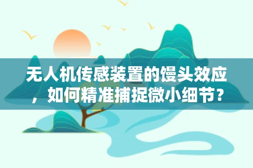 无人机传感装置的馒头效应，如何精准捕捉微小细节？