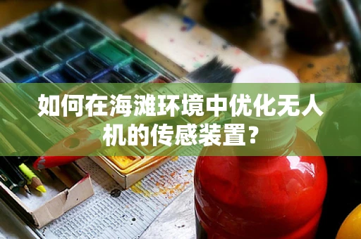 如何在海滩环境中优化无人机的传感装置？