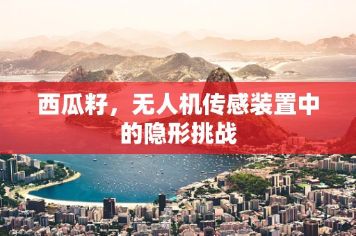 西瓜籽，无人机传感装置中的隐形挑战