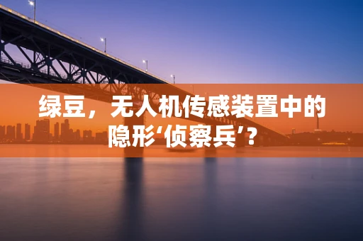 绿豆，无人机传感装置中的隐形‘侦察兵’？