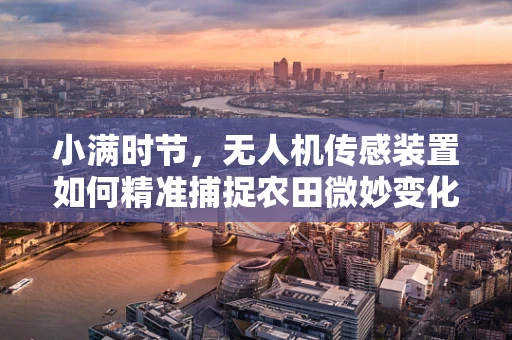 小满时节，无人机传感装置如何精准捕捉农田微妙变化？