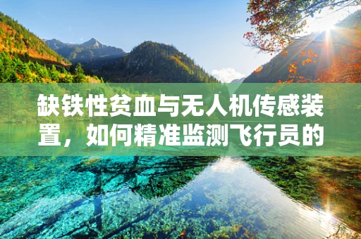 缺铁性贫血与无人机传感装置，如何精准监测飞行员的健康状态？