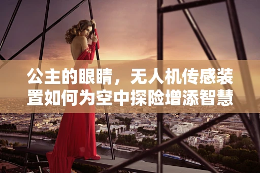 公主的眼睛，无人机传感装置如何为空中探险增添智慧？