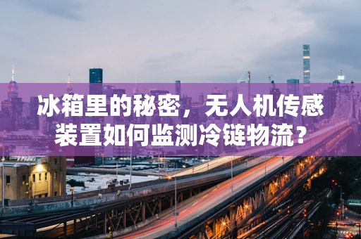 冰箱里的秘密，无人机传感装置如何监测冷链物流？