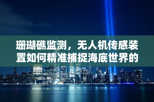 珊瑚礁监测，无人机传感装置如何精准捕捉海底世界的秘密？
