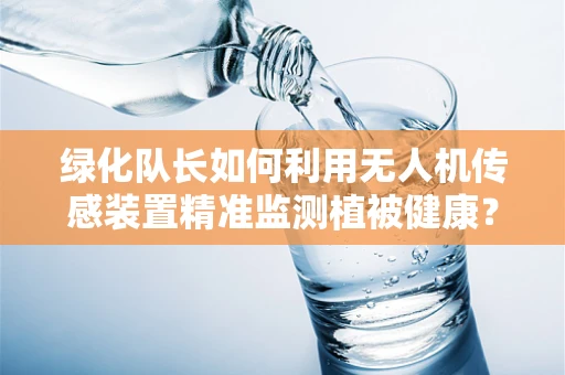 绿化队长如何利用无人机传感装置精准监测植被健康？
