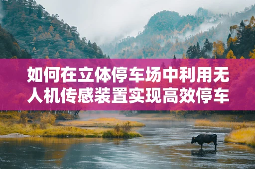 如何在立体停车场中利用无人机传感装置实现高效停车引导？
