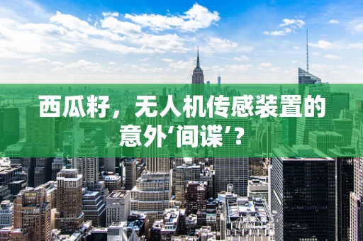 西瓜籽，无人机传感装置的意外‘间谍’？