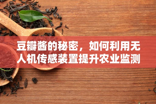 豆瓣酱的秘密，如何利用无人机传感装置提升农业监测精度？