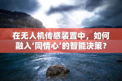 在无人机传感装置中，如何融入‘同情心’的智能决策？