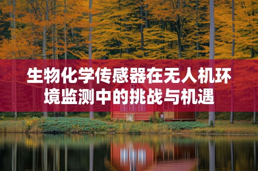 生物化学传感器在无人机环境监测中的挑战与机遇