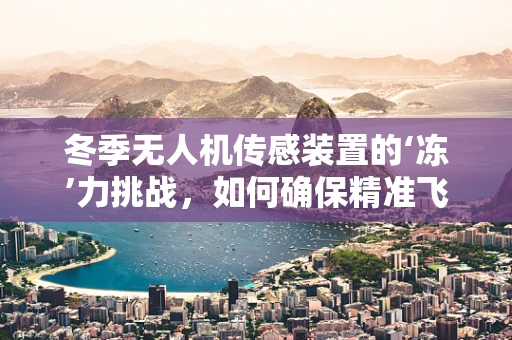 冬季无人机传感装置的‘冻’力挑战，如何确保精准飞行？