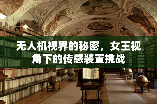 无人机视界的秘密，女王视角下的传感装置挑战