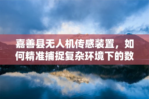 嘉善县无人机传感装置，如何精准捕捉复杂环境下的数据？