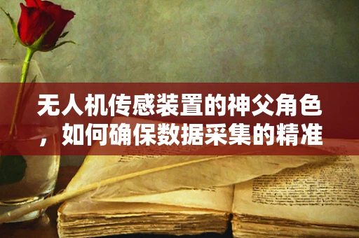 无人机传感装置的神父角色，如何确保数据采集的精准与神圣？