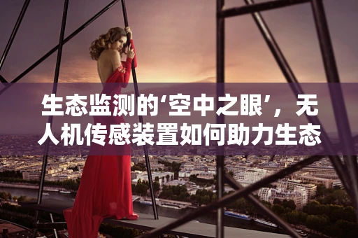 生态监测的‘空中之眼’，无人机传感装置如何助力生态学研究？